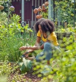 GARDENA - ExpertCut - Snoeischaar - 22 Diameter Tak 30 GARDENA - ExpertCut - Snoeischaar - 22 Diameter Tak -Tuingereedschap Winkel 1116x1200 1