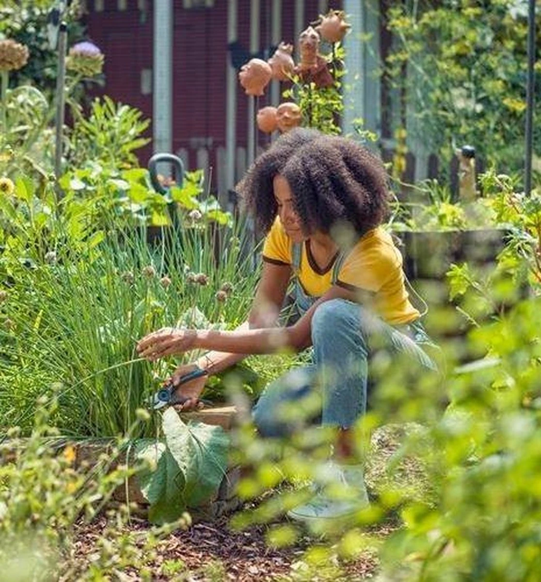 GARDENA - ExpertCut - Snoeischaar - 22 Diameter Tak 14 GARDENA - ExpertCut - Snoeischaar - 22 Diameter Tak - Afbeelding 14