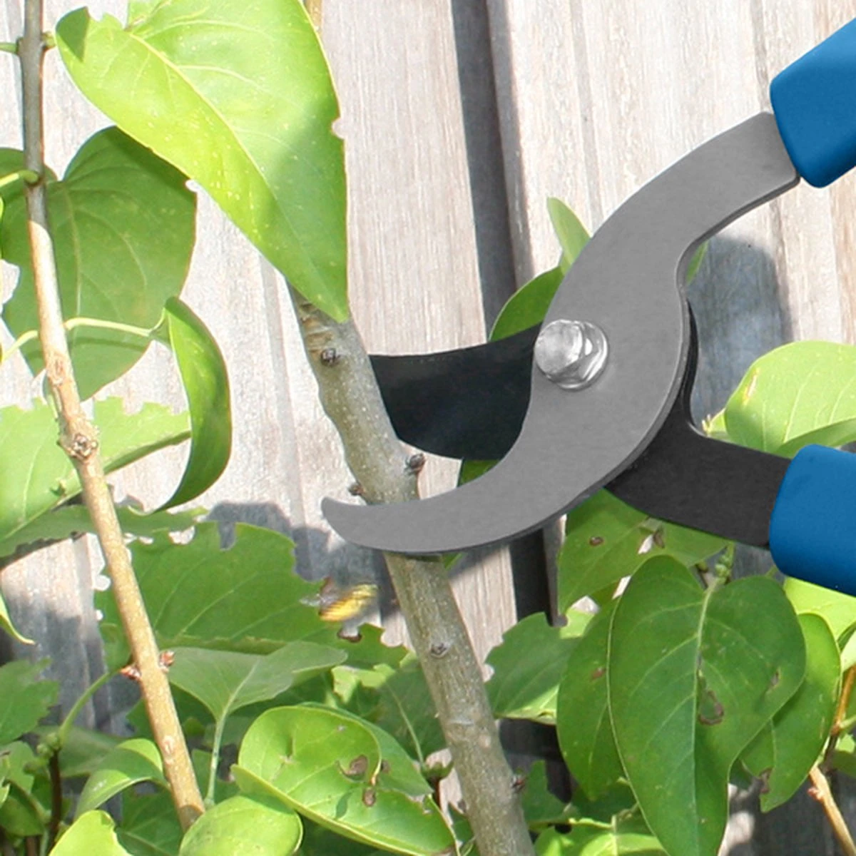 Hyundai Snoeiset 3-delig - Snoeischaar - Takkenschaar - Heggenschaar 2 Hyundai Snoeiset 3-delig - Snoeischaar - Takkenschaar - Heggenschaar - Afbeelding 2