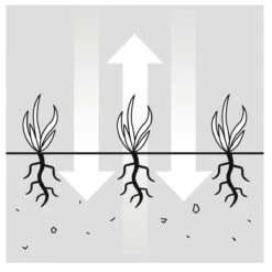 GARDENA EVC 1000 Verticuteermachine - Werkbreedte 30 Cm - Werkgebied 600m2 26 GARDENA EVC 1000 Verticuteermachine - Werkbreedte 30 Cm - Werkgebied 600m2 -Tuingereedschap Winkel 1200x1200 353