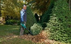 Bosch ALB 36 LI - Bladblazer - Met 36 V Accu En Lader -Tuingereedschap Winkel 1200x747