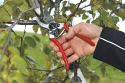 Felco 2 Snoeischaar - Rechtshandig - Max. Knipdiameter 25 Mm - Lengte 215 Mm 20 Felco 2 Snoeischaar - Rechtshandig - Max. Knipdiameter 25 Mm - Lengte 215 Mm -Tuingereedschap Winkel 1200x796 6