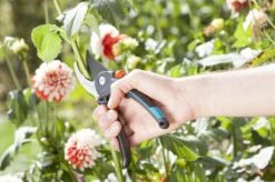 GARDENA Comfort B/M Bypass Snoeischaar - Ø 24mm - Met Sapgeul -Tuingereedschap Winkel 1200x799 104