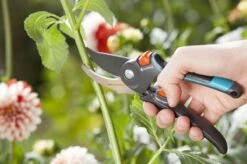 GARDENA Comfort B/M Bypass Snoeischaar - Ø 24mm - Met Sapgeul -Tuingereedschap Winkel 1200x799 105