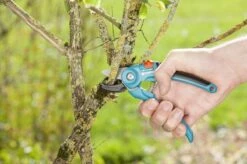 GARDENA Classic Aambeeld Snoeischaar - Ø 18 Mm -Tuingereedschap Winkel 1200x799 71