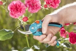 GARDENA - Classic B/S-M Bypass Snoeischaar - Ø 22mm - 25 Jaar Garantie 18 GARDENA - Classic B/S-M Bypass Snoeischaar - Ø 22mm - 25 Jaar Garantie -Tuingereedschap Winkel 1200x799 92