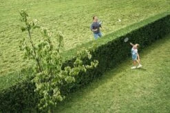 Bosch AHS 50-20 Accu Heggenschaar - Met 1 X 18 V Accu En Lader 14 Bosch AHS 50-20 Accu Heggenschaar - Met 1 X 18 V Accu En Lader -Tuingereedschap Winkel 1200x800 113