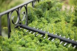 Bosch UniversalHedgeCut 18-55 Heggenschaar - Zonder 18V Accu En Oplader -Tuingereedschap Winkel 1200x800 158