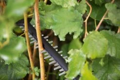 Bosch UniversalHedgeCut 18-55 Heggenschaar - Zonder 18V Accu En Oplader -Tuingereedschap Winkel 1200x800 161