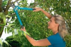 GARDENA Comfort 500 BL Takkenschaar - Max Knipdiameter 35 Mm 15 GARDENA Comfort 500 BL Takkenschaar - Max Knipdiameter 35 Mm -Tuingereedschap Winkel 1200x800 171