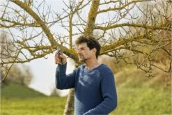 GARDENA - ExpertCut - Snoeischaar - 22 Diameter Tak 26 GARDENA - ExpertCut - Snoeischaar - 22 Diameter Tak -Tuingereedschap Winkel 1200x800 184