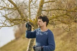 GARDENA - ExpertCut - Snoeischaar - 22 Diameter Tak 27 GARDENA - ExpertCut - Snoeischaar - 22 Diameter Tak -Tuingereedschap Winkel 1200x800 185