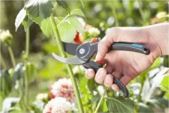 GARDENA Comfort B/M Bypass Snoeischaar - Ø 24mm - Met Sapgeul -Tuingereedschap Winkel 1200x800 202