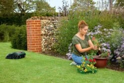 Bosch Indego S+ 500 Robotmaaier - Voor Gazons Tot 500 M2 - Incl. Laadstation En Accessoires - Connected 19 Bosch Indego S+ 500 Robotmaaier - Voor Gazons Tot 500 M2 - Incl. Laadstation En Accessoires - Connected -Tuingereedschap Winkel 1200x800 259