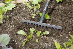 Gardena NatureLine Hark | 36 Cm | FSC 100% - 17106-20 -Tuingereedschap Winkel 1200x800 282