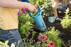 GARDENA Bollenplanter - Diepteaanduiding - Automatische Aardeloslating 12 GARDENA Bollenplanter - Diepteaanduiding - Automatische Aardeloslating -Tuingereedschap Winkel 1200x800 283