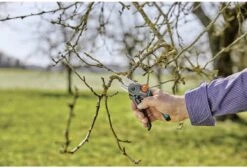 GARDENA - ExpertCut - Snoeischaar - 22 Diameter Tak 32 GARDENA - ExpertCut - Snoeischaar - 22 Diameter Tak -Tuingereedschap Winkel 1200x815 1