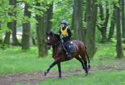 Aqua2Go GD86 Staand Electrische Pressure Washer - 20 Liter Tank - Afneembare Pomp 39 Aqua2Go GD86 Staand Electrische Pressure Washer - 20 Liter Tank - Afneembare Pomp -Tuingereedschap Winkel 1200x817 1