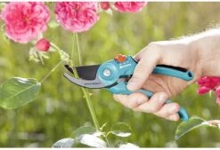 GARDENA - Classic B/S-M Bypass Snoeischaar - Ø 22mm - 25 Jaar Garantie 20 GARDENA - Classic B/S-M Bypass Snoeischaar - Ø 22mm - 25 Jaar Garantie -Tuingereedschap Winkel 1200x820 1