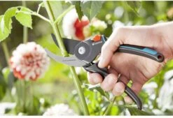 GARDENA Comfort B/M Bypass Snoeischaar - Ø 24mm - Met Sapgeul -Tuingereedschap Winkel 1200x822