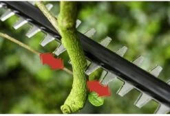 Bosch UniversalHedgePole 18 Heggenschaar Op Steel - Met 18 V Accu En Lader -Tuingereedschap Winkel 1200x823