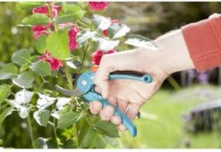 GARDENA - Classic B/S-M Bypass Snoeischaar - Ø 22mm - 25 Jaar Garantie 23 GARDENA - Classic B/S-M Bypass Snoeischaar - Ø 22mm - 25 Jaar Garantie -Tuingereedschap Winkel 1200x825 12