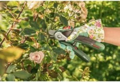 Bosch EasyPrune Accu Snoeischaar - 3.6 V Accu - USB 10 Bosch EasyPrune Accu Snoeischaar - 3.6 V Accu - USB -Tuingereedschap Winkel 1200x825 16