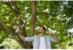 Gardena TeleCut Takkenschaar 650-900 B - Uitschuifbare Armen - Tot Max 90 Cm 18 Gardena TeleCut Takkenschaar 650-900 B - Uitschuifbare Armen - Tot Max 90 Cm -Tuingereedschap Winkel 1200x826 2