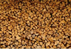 Steko Houtsplijter Voor Grote Blokken - Voor Aanmaakhout & Brandhout - Houtklover - Houtkliever - Splijtwig - Handmatig - Overal Te Gebruiken 1605 Gram - Metaal - Kloofwig - HOGE VOLUMEKORTING 8 Steko Houtsplijter Voor Grote Blokken - Voor Aanmaakhout & Brandhout - Houtklover - Houtkliever - Splijtwig - Handmatig - Overal Te Gebruiken 1605 Gram - Metaal - Kloofwig - HOGE VOLUMEKORTING -Tuingereedschap Winkel 1200x837 2