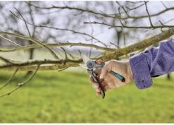 GARDENA - ExpertCut - Snoeischaar - 22 Diameter Tak 31 GARDENA - ExpertCut - Snoeischaar - 22 Diameter Tak -Tuingereedschap Winkel 1200x859 1