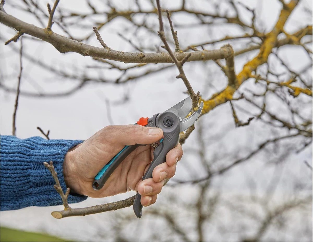 GARDENA - ExpertCut - Snoeischaar - 22 Diameter Tak 3 GARDENA - ExpertCut - Snoeischaar - 22 Diameter Tak - Afbeelding 3