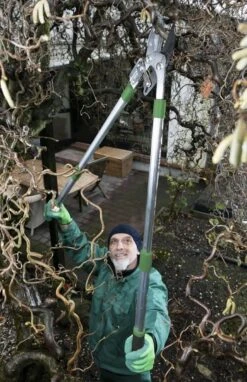 Telescopische Takkenschaar, 6-voudig -Tuingereedschap Winkel 775x1200 1