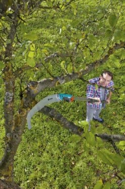 GARDENA Combisysteem Snoeizaag 300PP Curved Takkenzaag - Meslengte 315 Mm - Exclusief Verlengstok 13 GARDENA Combisysteem Snoeizaag 300PP Curved Takkenzaag - Meslengte 315 Mm - Exclusief Verlengstok -Tuingereedschap Winkel 799x1200 71