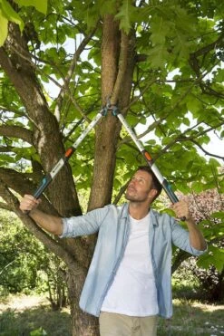 Gardena TeleCut Takkenschaar 650-900 B - Uitschuifbare Armen - Tot Max 90 Cm 16 Gardena TeleCut Takkenschaar 650-900 B - Uitschuifbare Armen - Tot Max 90 Cm -Tuingereedschap Winkel 800x1200 33