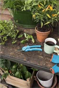 GARDENA - Classic B/S-M Bypass Snoeischaar - Ø 22mm - 25 Jaar Garantie 16 GARDENA - Classic B/S-M Bypass Snoeischaar - Ø 22mm - 25 Jaar Garantie -Tuingereedschap Winkel 800x1200 34