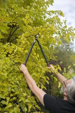 Kreator KRTGR4001 Takkenschaar - 650mm 6 Kreator KRTGR4001 Takkenschaar - 650mm -Tuingereedschap Winkel 800x1200 36