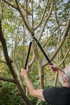 Kreator KRTGR4001 Takkenschaar - 650mm 7 Kreator KRTGR4001 Takkenschaar - 650mm -Tuingereedschap Winkel 800x1200 37