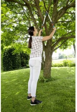 GARDENA - TeleCut Telescopische - Takkenschaar 520-670B - 42 Mm Verstelbare Lengte 14 GARDENA - TeleCut Telescopische - Takkenschaar 520-670B - 42 Mm Verstelbare Lengte -Tuingereedschap Winkel 826x1200 1