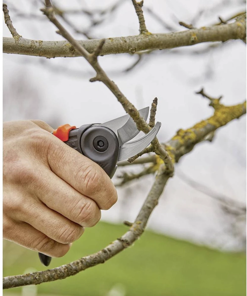 GARDENA - ExpertCut - Snoeischaar - 22 Diameter Tak 17 GARDENA - ExpertCut - Snoeischaar - 22 Diameter Tak - Afbeelding 17