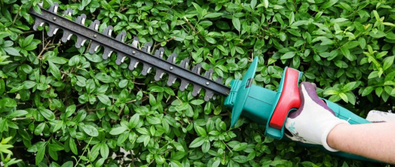 Tuingereedschap Winkel 4 Tuingereedschap Winkel -Tuingereedschap Winkel sdgdsg